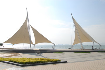 关于篮球的知识