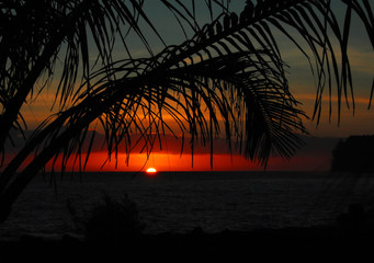 关于篮球的知识