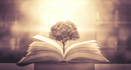 袁隆平趣事有哪些