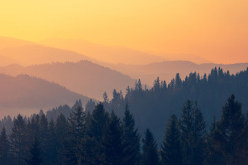 适合发快手的励志 快手发的句子经典语录