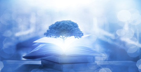 感恩公司最朴实的句子