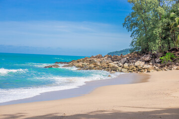 花生的生长过程手抄报