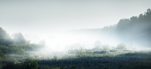 感恩公司最朴实的句子