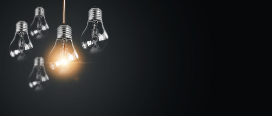 花生的生长过程手抄报