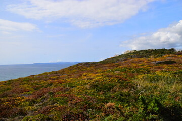 感恩公司最朴实的句子