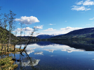 金融消费者权益保护工作的全流程管控机制