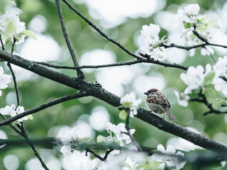 适合发快手的励志 快手发的句子经典语录