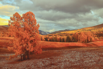 适合发快手的励志 快手发的句子经典语录