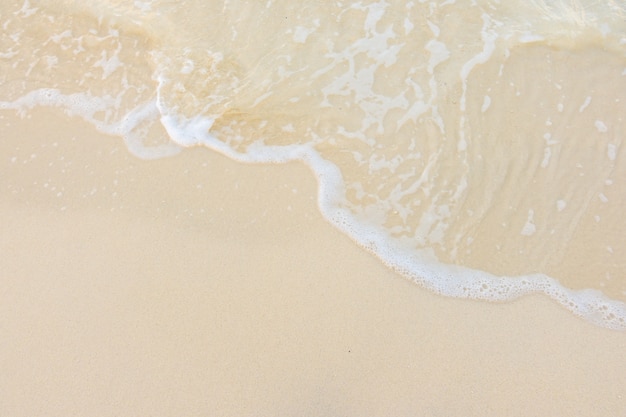 感恩公司最朴实的句子