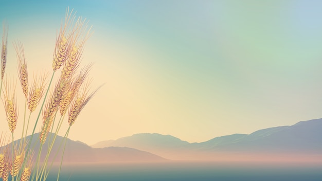 花生的生长过程手抄报