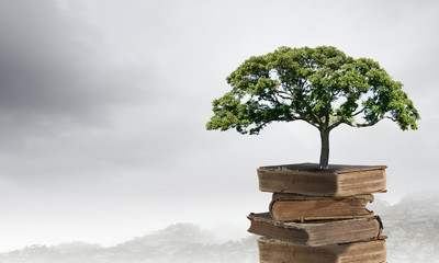 英语的年月日表示方法