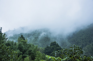 感恩公司最朴实的句子